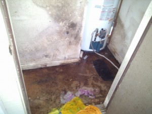 Charlotte emergency plumber dealing with water damage and neglect Charlotte emergency plumber dealing with water damage and neglect, Maintain Your Water Heater