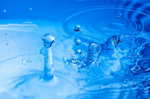 shut off water, How to Turn Off Your Water