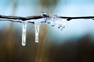 prevent pipes freezing
