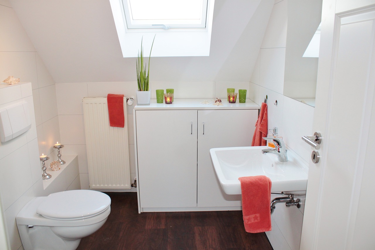 Charlotte plumbing company, Running Toilet Cost