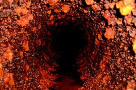 drain maintenance tips, how to keep drains clean, need a drain uncloggged Charlotte