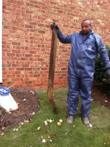 tree roots blocking sewer line Charlotte