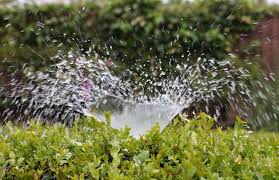 Charlotte irrigation system testing for backflow