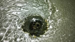 Charlotte drain service