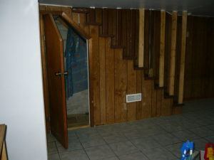 mold in basement