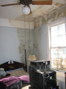 questions about mold, Charlotte mold restoration