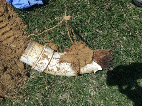 Huntersville sewer line service, Need a plumber Huntersville NC