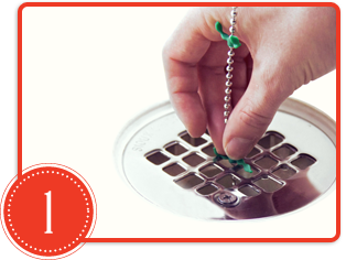 Charlotte drain repair services, drain wig