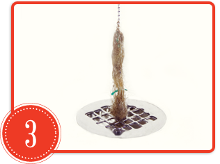 drain wig, drain catcher, catch hair in drain, prevent clogged drain